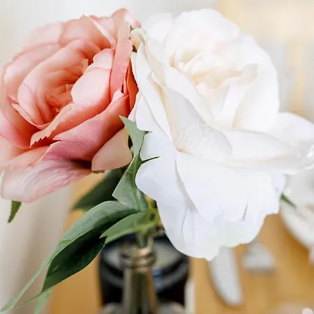 Golden - Monopol * Wrocław